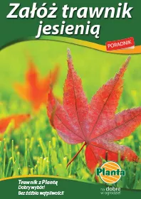 Załóż trawnik jesienią