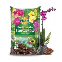  Podłoże do storczyków - Planta