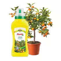  Nawóz płynny do cytrusów - Planta