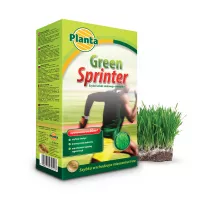  Trawa Green Sprinter - Planta