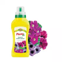  Nawóz płynny do surfinii i petunii - Planta