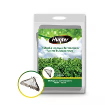  Pułapka lepowa z feromonem na ćmę bukszpanową - Hunter