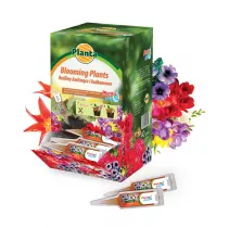  Planta Vit Drip Flowers