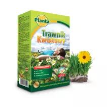  Trawa Trawnik Kwiatowy - Planta
