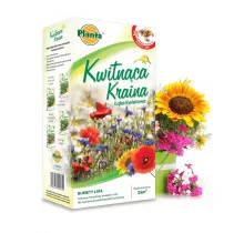  Kwitnąca Kraina - Bukiety lata - Planta