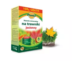 Nawóz mineralny na trawniki jesienny