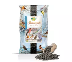 Słonecznik czarny, ziarno - Planta