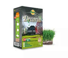 Trawa Decoria - Planta