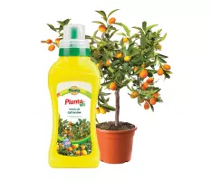 Nawóz płynny do cytrusów - Planta