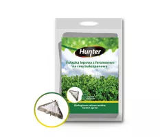 Pułapka lepowa z feromonem na ćmę bukszpanową - Hunter