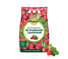 Nawóz mineralny pod truskawki i poziomki - Planta