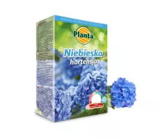 Niebieska hortensja - Planta