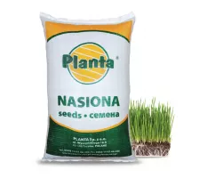 Mieszanka traw Rekultywacyjna - Planta