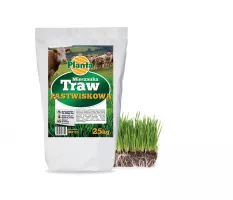 Mieszanka traw Pastwiskowa - Planta