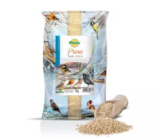 Proso białe, ziarno - Planta