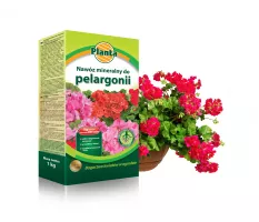 Nawóz mineralny do pelargonii - Planta