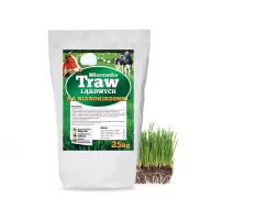 Mieszanka traw łąkowych Na sianokiszonki - Planta