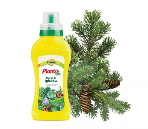 Nawóz płynny do iglaków - Planta