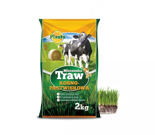 Mieszanka traw kośno - pastwiskowych - Planta