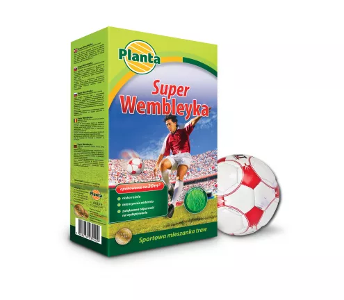 Trawa Super Wembleyka - Planta