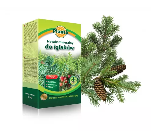 Nawóz mineralny pod iglaki - Planta