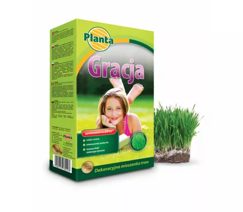Trawa Gracja - Planta