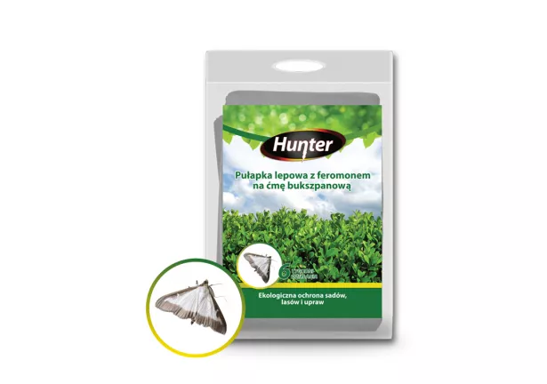 Pułapka lepowa z feromonem na ćmę bukszpanową - Hunter