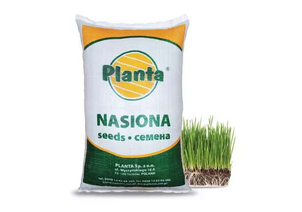 Mieszanka traw Rekultywacyjna - Planta