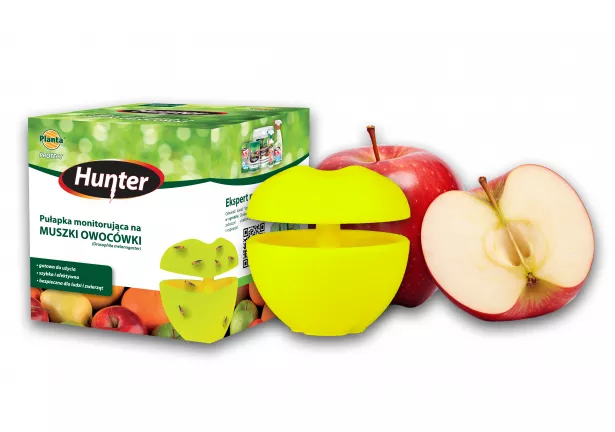 Pułapka monitorująca na muszki owocówki - Hunter