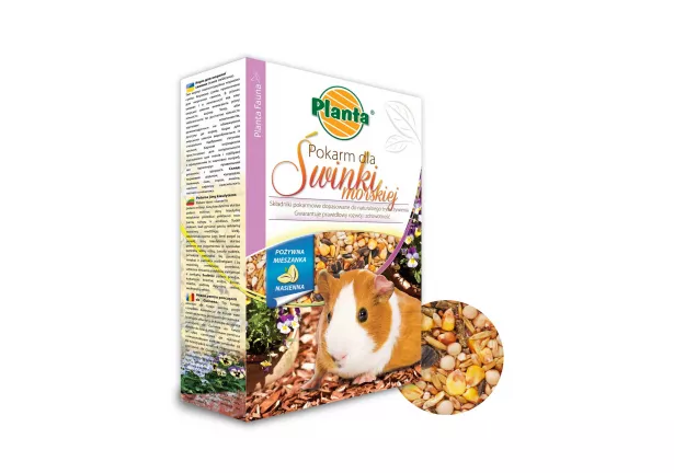 Pokarm dla świnki morskiej - Planta
