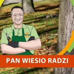 Jak chronić drzewa przed spałowaniem i zgryzaniem