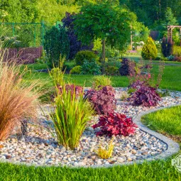 Jak założyć rabatę żwirową?