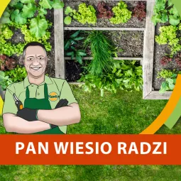 Jak zaplanować warzywnik