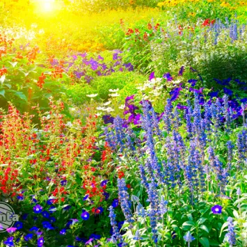 Ogród kwitnący do później jesieni