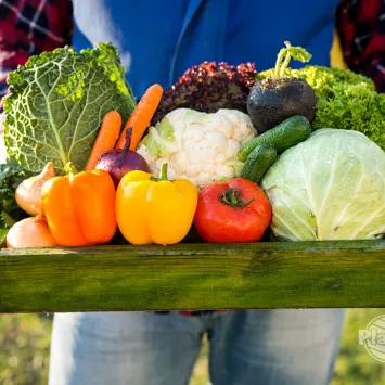Warzywa z własnego ogrodu