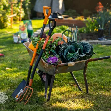 Przygotowania ogrodu do zimowania