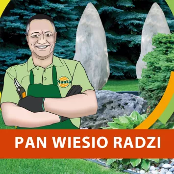 Sprawdzaj zimowe okrycia roślin