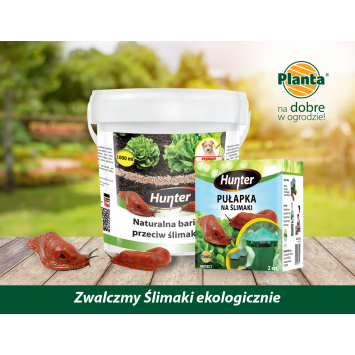 Zwalczamy ślimaki ekologicznie