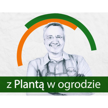 Zapraszamy do oglądania